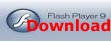 flashplayer